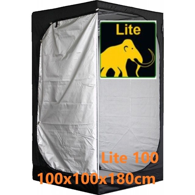 mammoth-lite-100