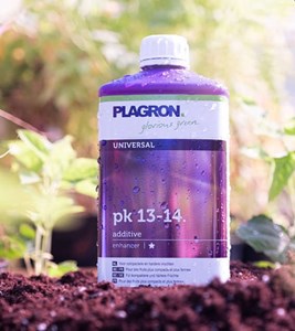 Plagron pk 13-14