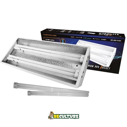 Neon 2x55W StarLite copie