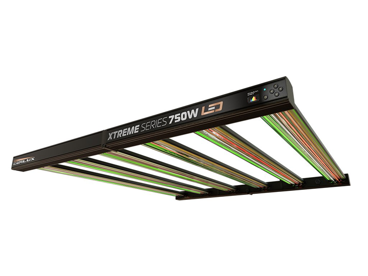 22797-dimlux-dimlux-xtreme-series-led-750w.png