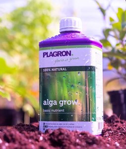 Plagron Alga Grow
