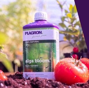Plagron Alga Bloom (1)