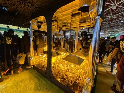 Box de culture 200x200x200