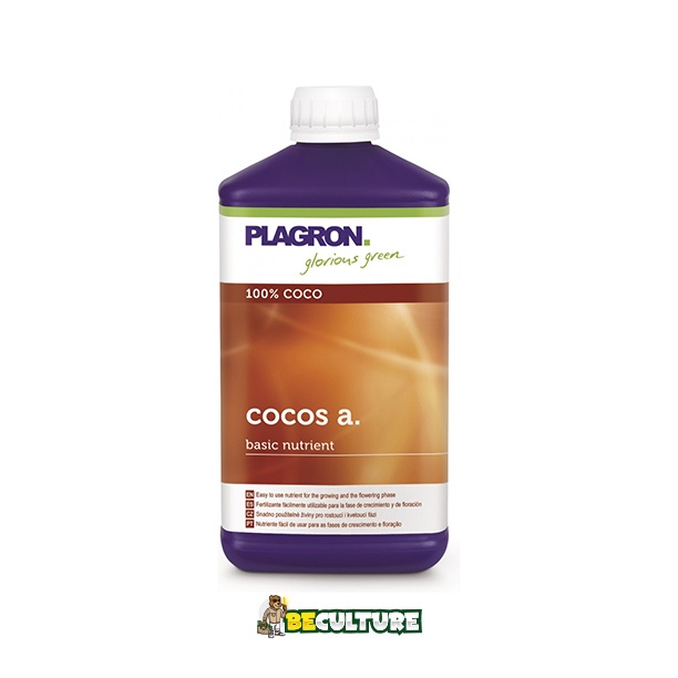 plagron-cocoa-btc.jpg