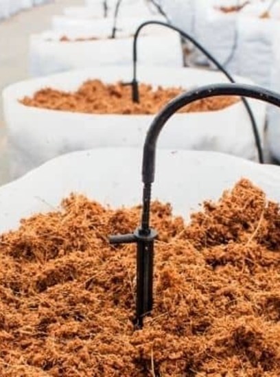 substrat pour plante