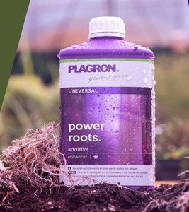 Plagron Power roots
