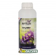 Aptus_CaMg-Boost1L